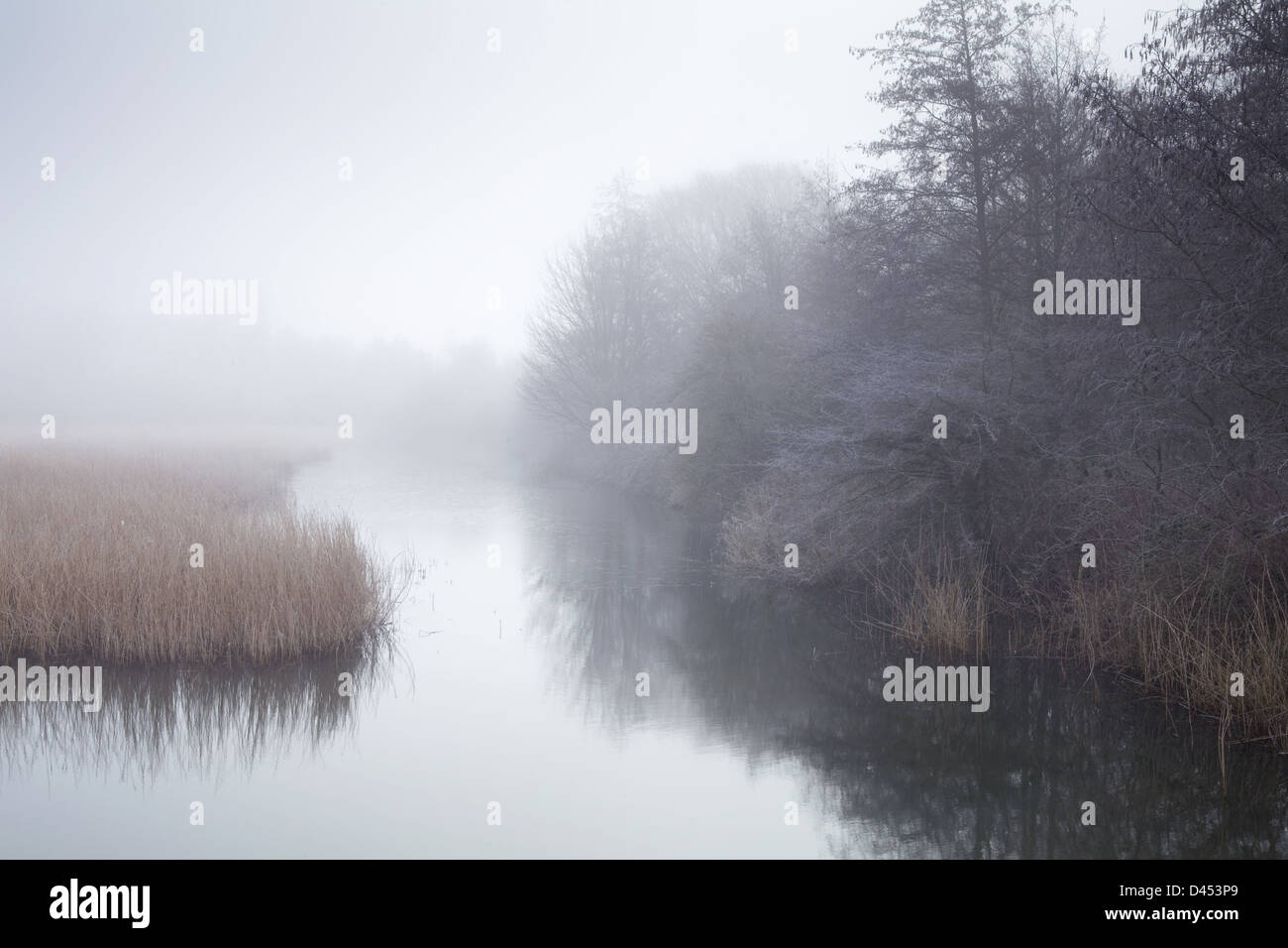 Einen kalten, nebligen Morgen im Winter an einem Teich in North Lincolnshire, England. Februar 2013. Stockfoto