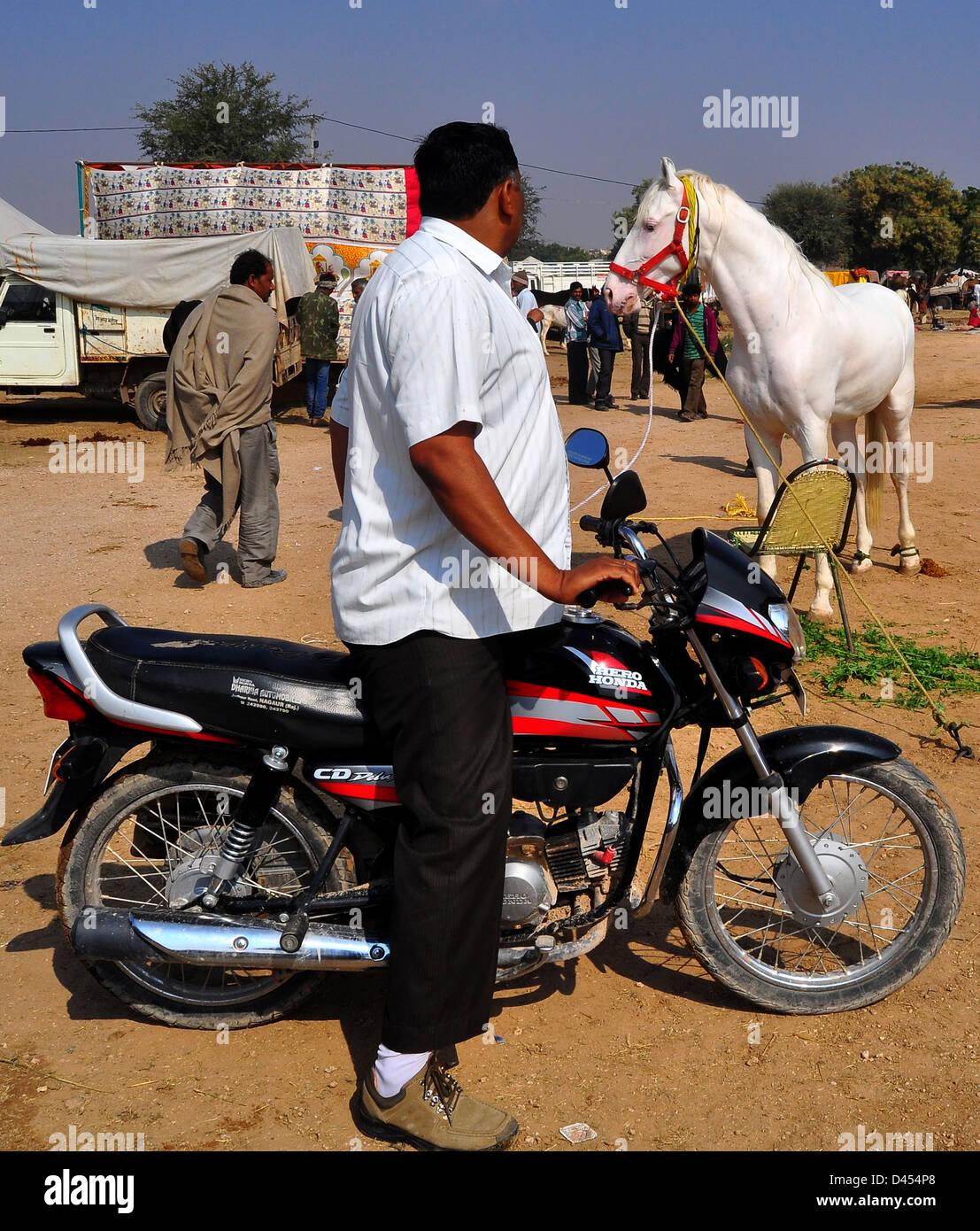 Ein Motorradfahrer bewundert ein Pferd auf dem Viehmarkt im westlichen indischen Stadt von Nagaur, im Staat Rajasthan Stockfoto
