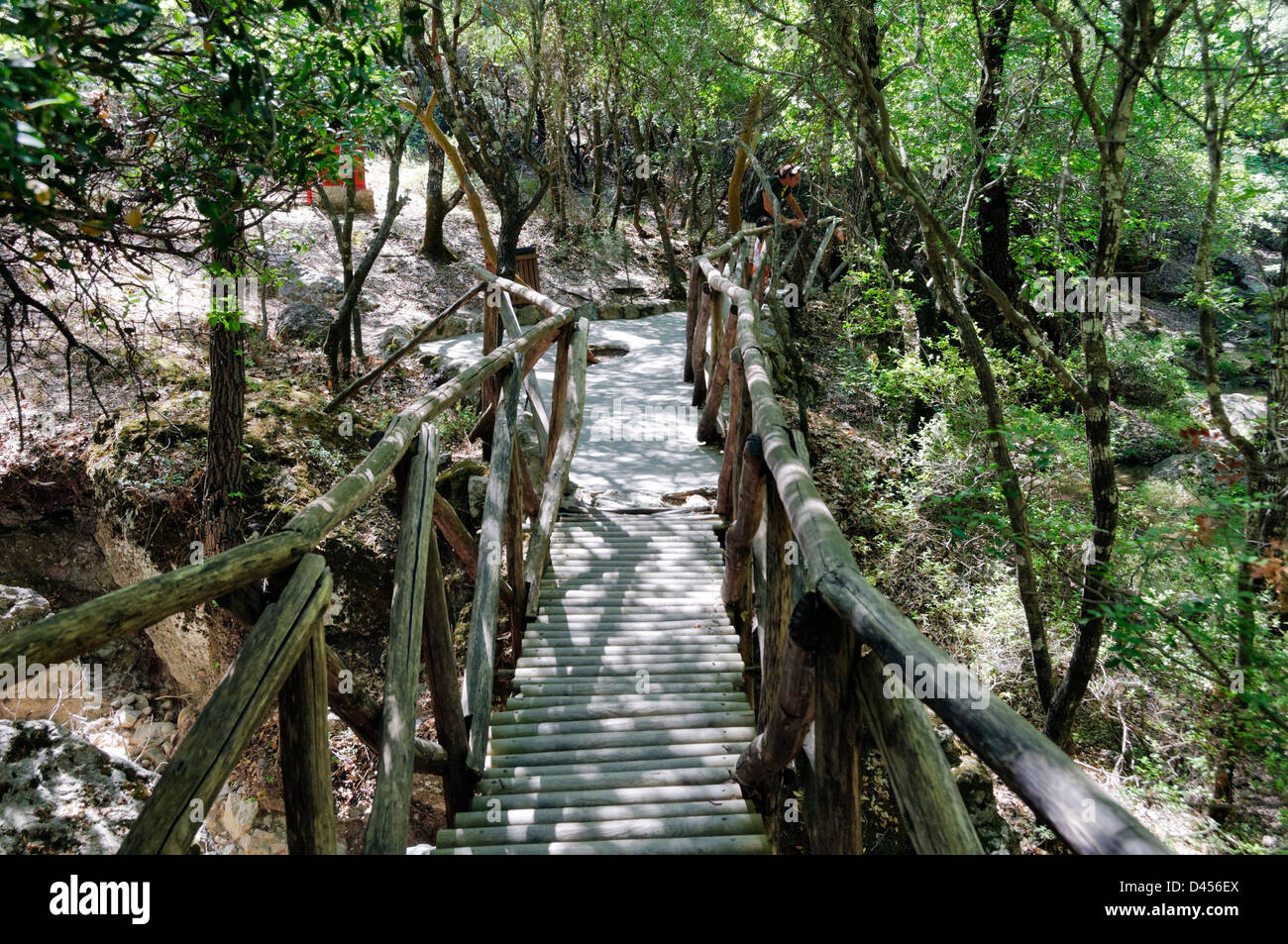 Rhodos. Griechenland. Rustikal, frische grüne Landschaft Pfad in das Tal der Schmetterlinge (Petaloudes). Stockfoto