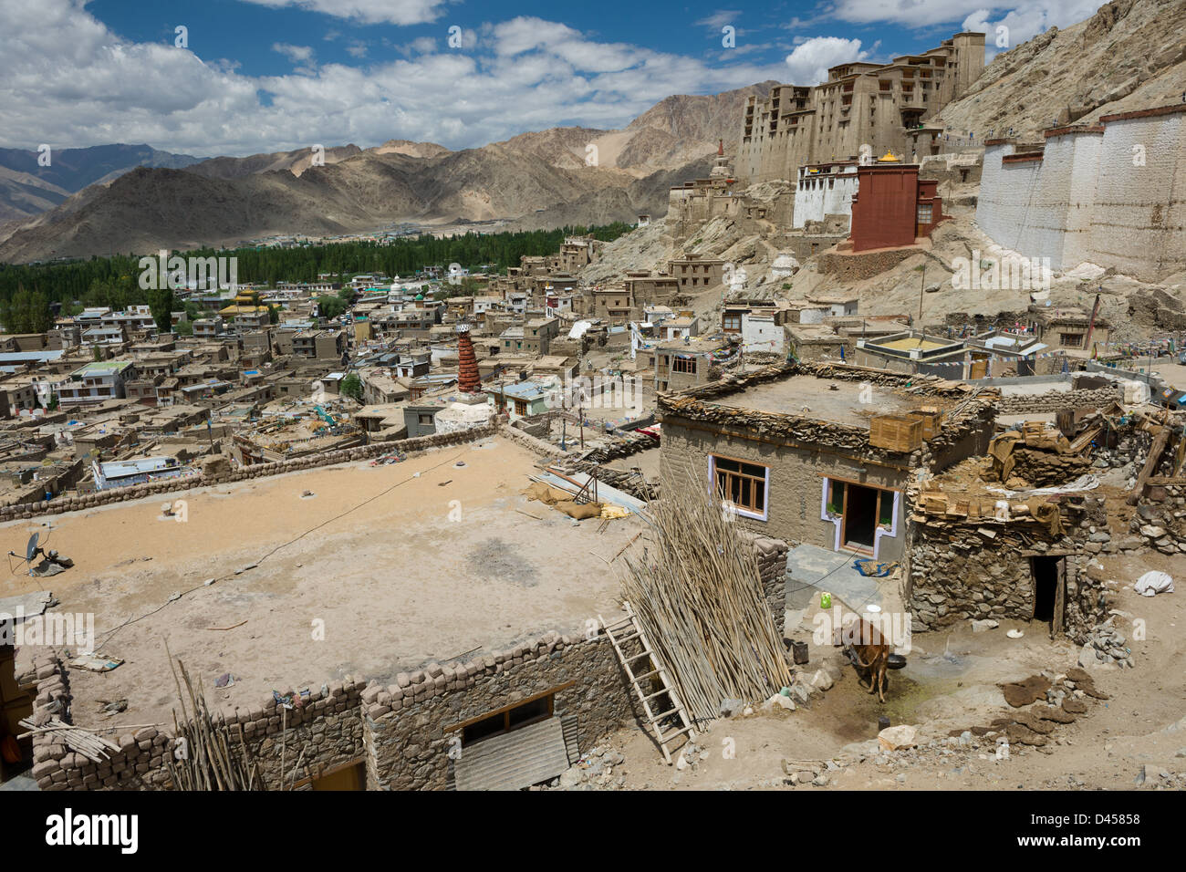 Leh-Palast, die hoch über den Häusern der Altstadt, Leh (Ladakh) Jammu & Kaschmir, Indien Stockfoto