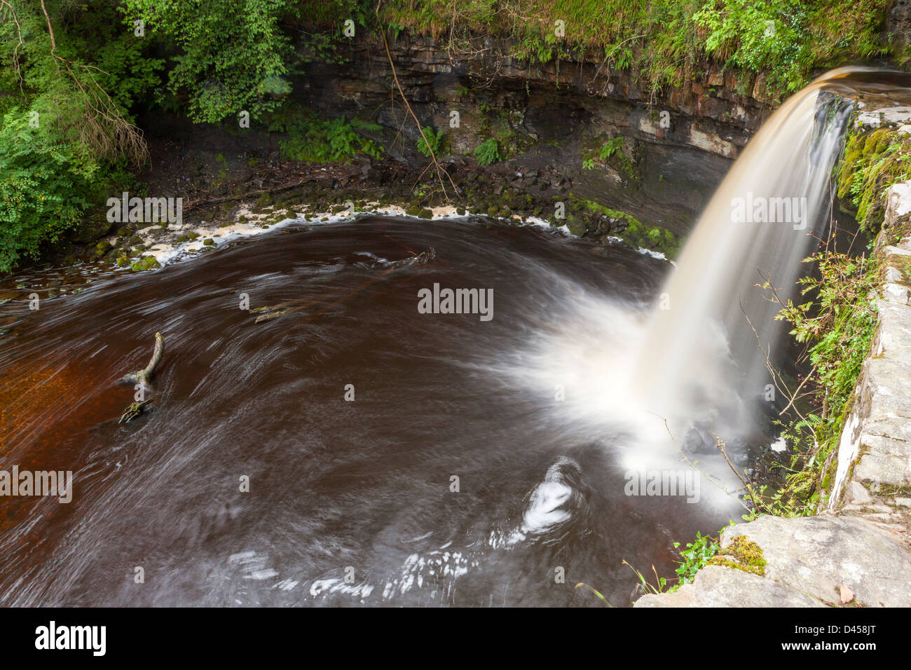 Sgwd Gwladys oder Dame fällt, Afon Pyrddin in der Nähe von Pontneddfechan, Brecon Beacons National Park, Powys, Wales, UK, Europa. Stockfoto