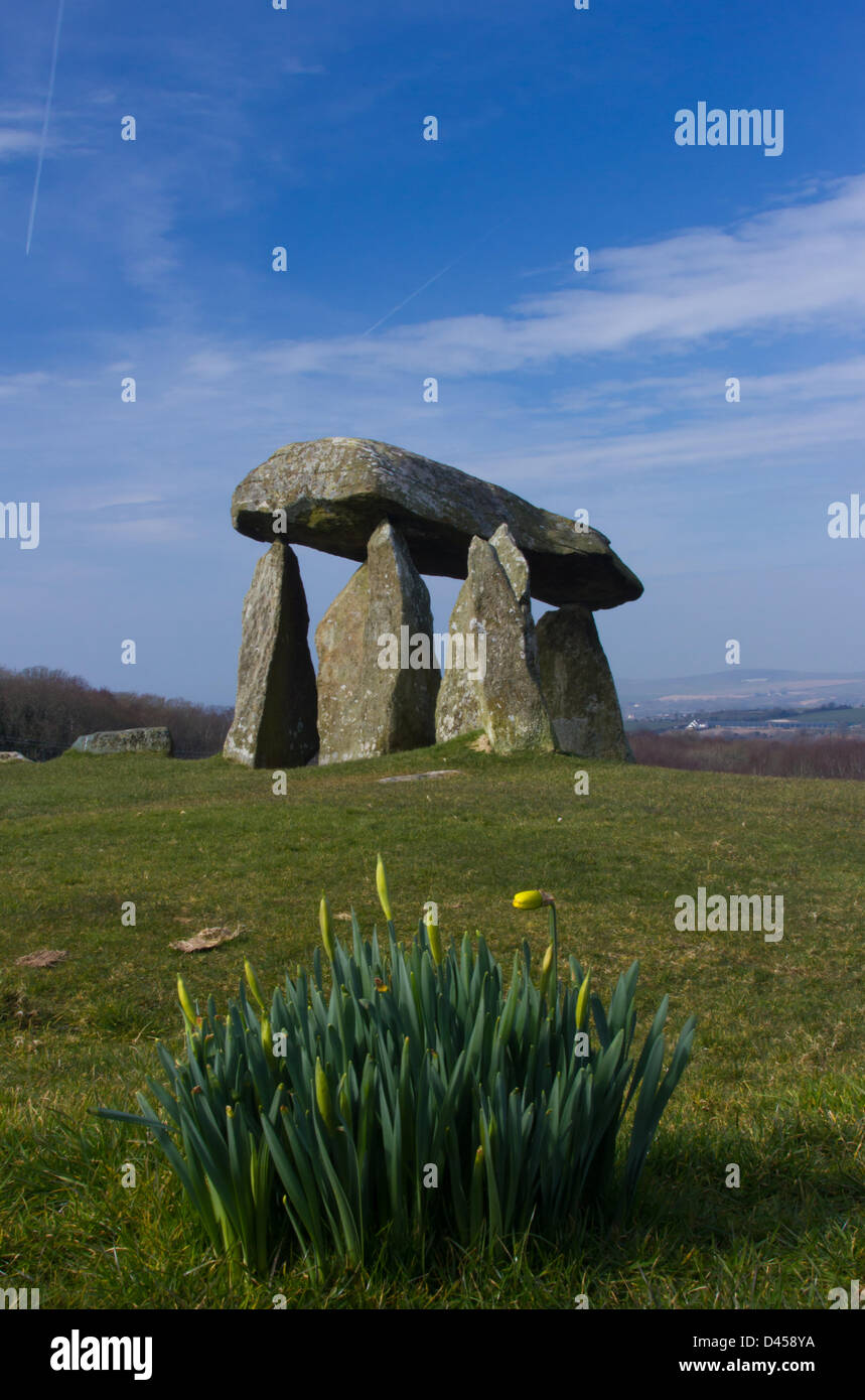 Pembrokeshire, Wales, UK. 5. März 2013., Narzissen beginnen zu blühen, als der Frühling kommt einmal mehr bei den Pentre Ifan Dolmen in Pembrokeshire. Die Cromlech Grabkammer ab 3500 v. Chr. datiert und hat so viele eine Feder gesehen. Der Strom ist paar Tage Frühlingssonnenschein und ungewöhnlich warmen Tagen leider voraussichtlich um bald zu Ende. Bildnachweis: atgof.co / Alamy Live News Stockfoto