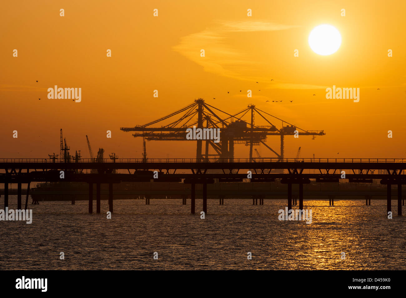 Coryton, Essex. 5. März 2013.  Die Sonne geht hinter die neue Krane bei DP Thames Gateway Container terminal, die noch im Bau befindet. Die Kraniche stehen auf 438ft hoch und sind derzeit installiert nur aus China angekommen. Sie können werden geglaubt, um in Großbritannien das höchste sein und vier Container gleichzeitig um die größten Schiffe effizient zu bewältigen. Bildnachweis: Allsorts Stock Foto / Alamy Live News Stockfoto