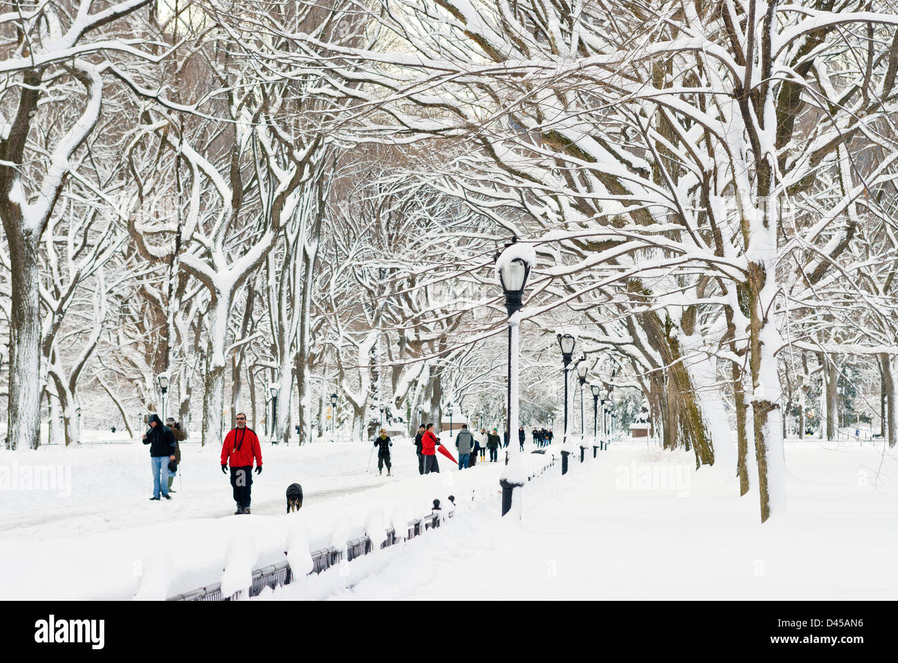 Central Park nach einem Schneesturm in der Nähe von The Mall, New York City. Stockfoto