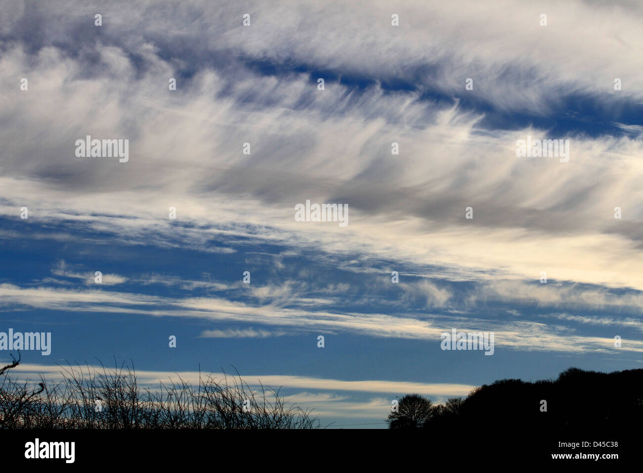 Cirrus ist eine Gattung der atmosphärischen Cloud in der Regel gekennzeichnet durch dünne, wispy Stränge, geben der Art seinen Namen aus dem lateinischen. Stockfoto