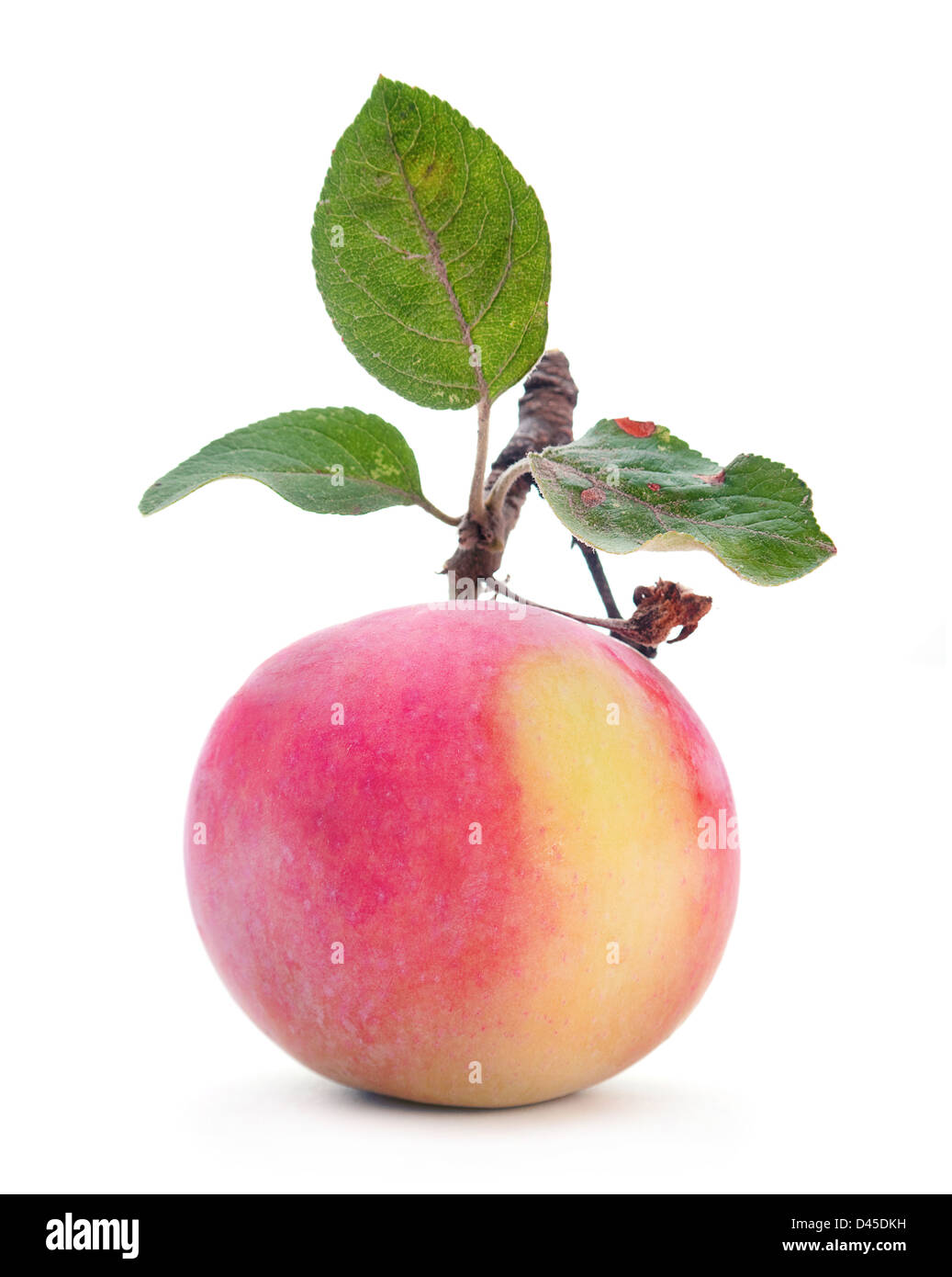 Apfelfrucht mit Blatt isoliert auf weiss Stockfoto