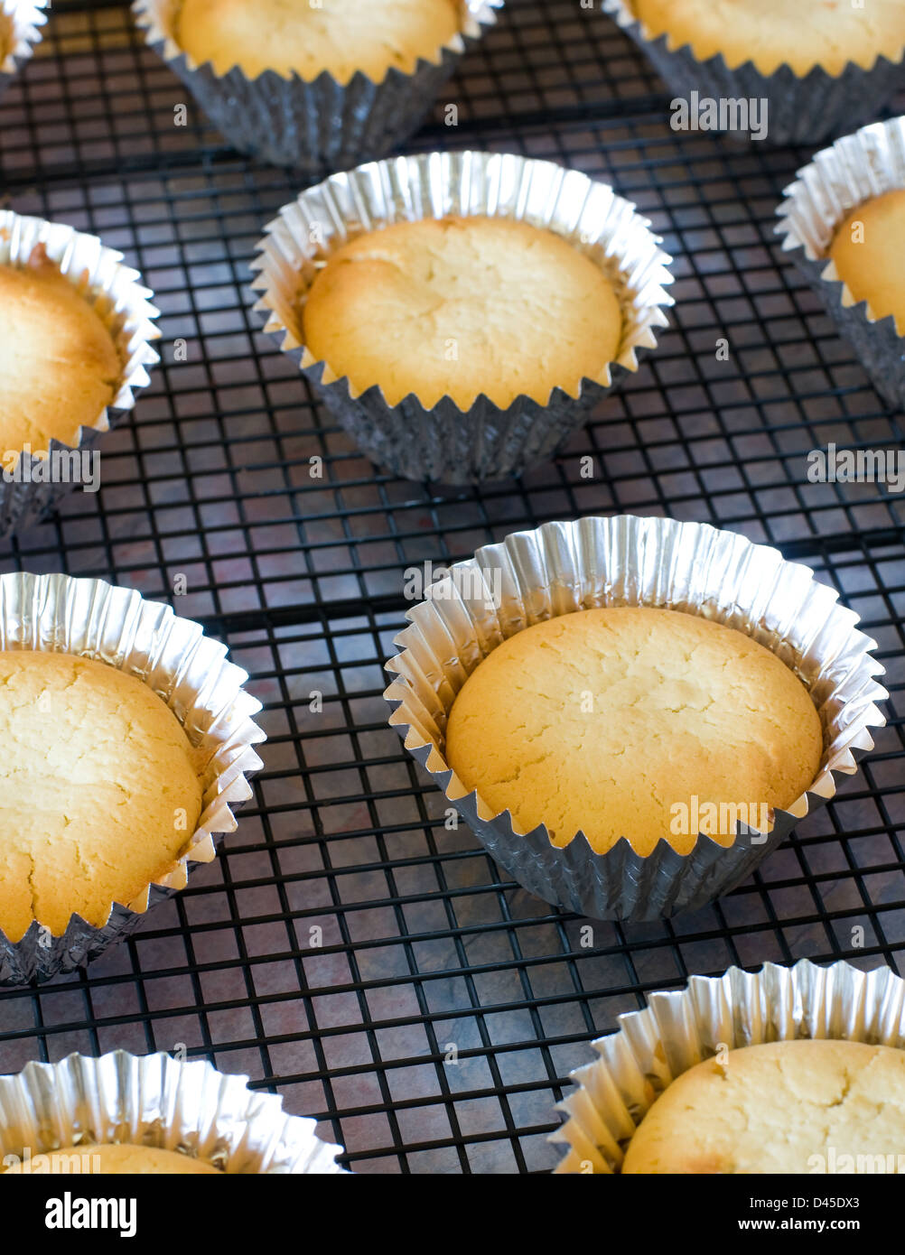 Muffins auf einem Kuchengitter abkühlen Stockfoto