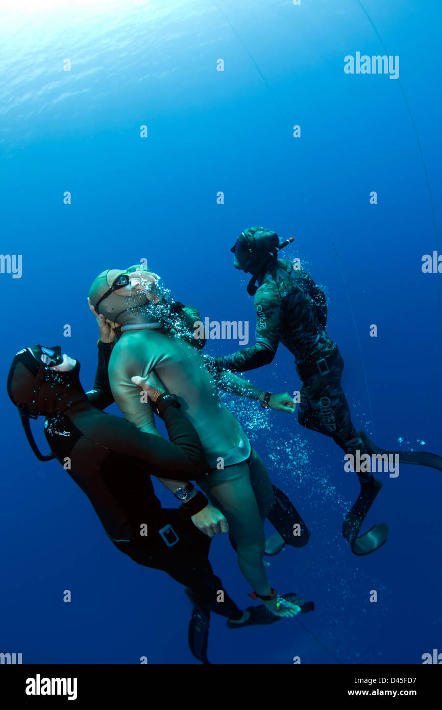 De ja blau Freediving Wettbewerb, Grand Cayman Inseln Stockfoto