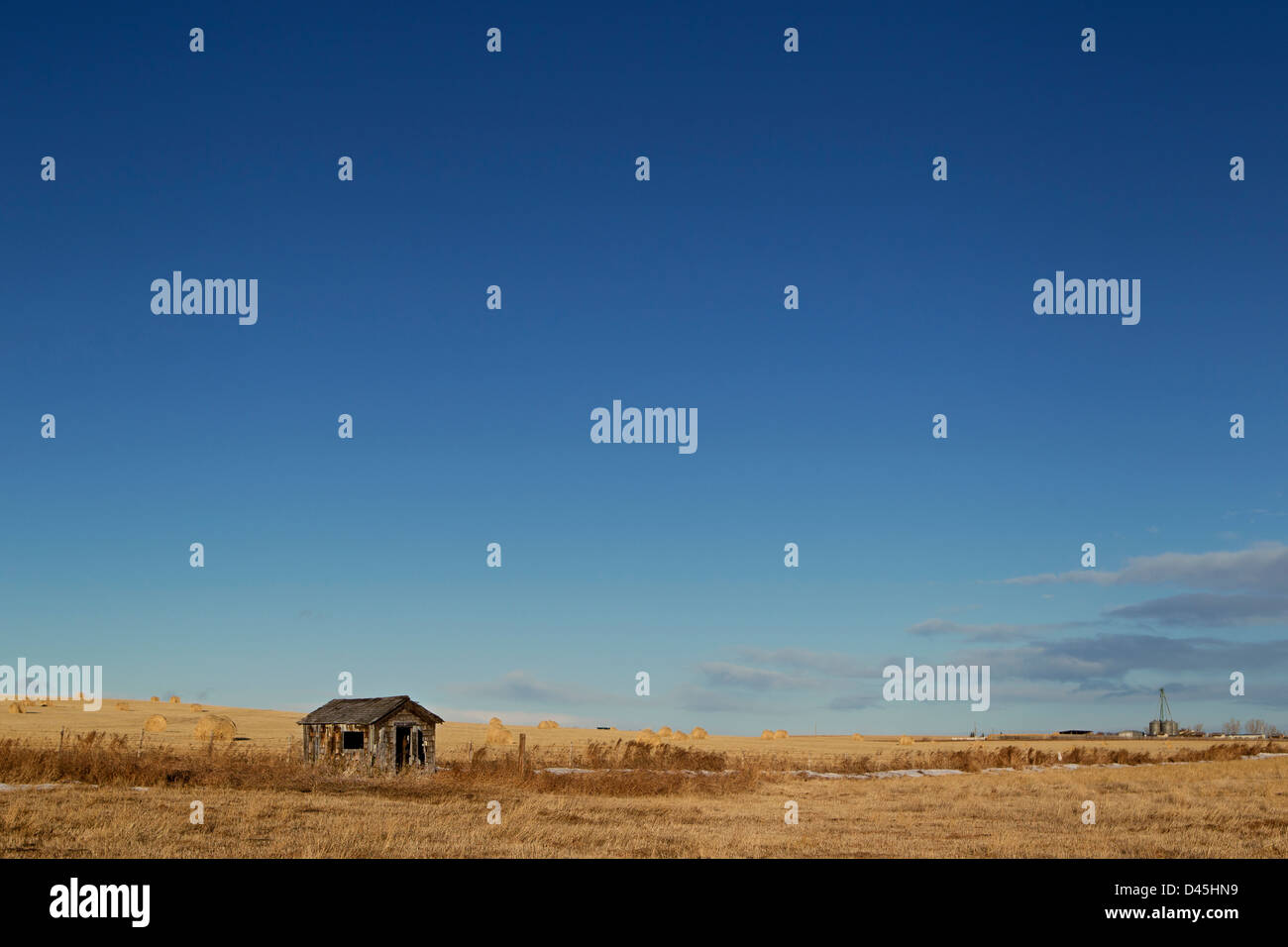 Vergossen Sie in einem Feld von Trans-Canada Highway Stockfoto