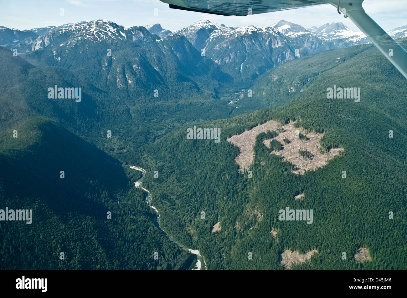 Eine Luftaufnahme einer klaren Ansicht über einem Flusstal im Great Bear Rainforest, nahe der Stadt Bella Coola, British Columbia, Kanada. Stockfoto