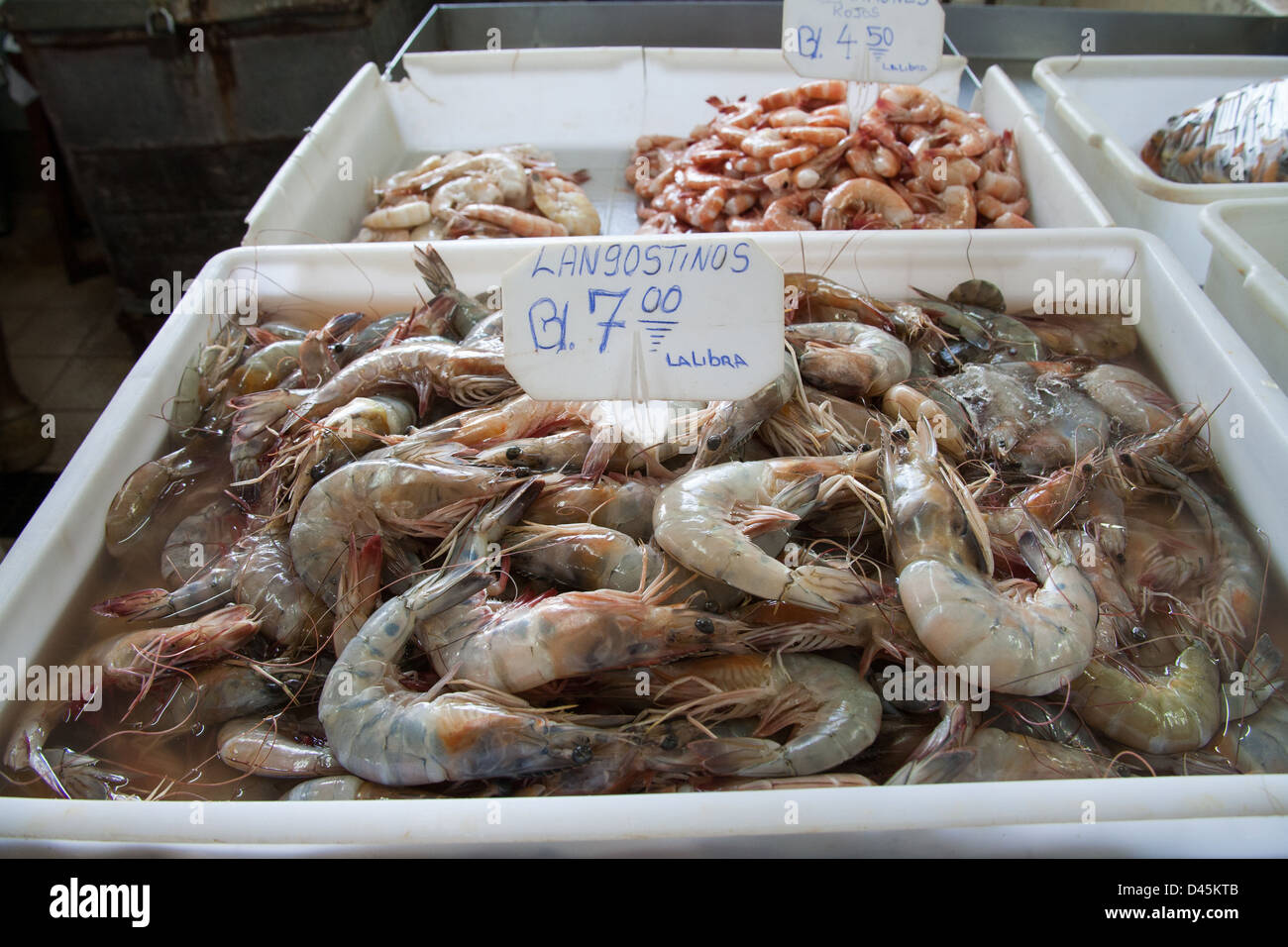 Ein Bündel von Krabben und Garnelen zum Verkauf auf dem Fischmarkt in Panama-Stadt. Stockfoto
