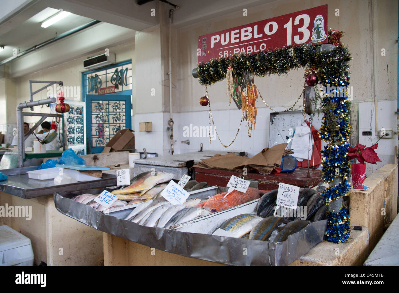 Vielfalt an Fischen in einem Stand auf dem Fischmarkt in Panama-Stadt angezeigt. Stockfoto