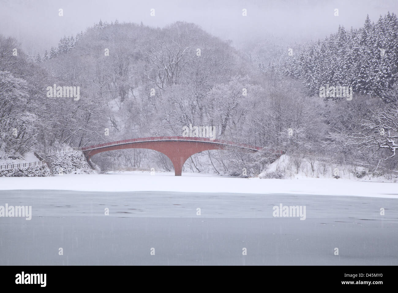 Gefrorenen See Usui und Brücke im Winter, Gunma, Japan Stockfoto