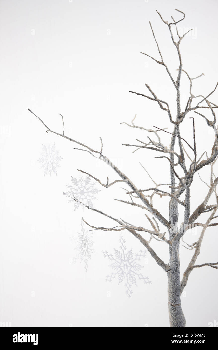 Schneeflocken im Winter Baum geschmückt Stockfoto