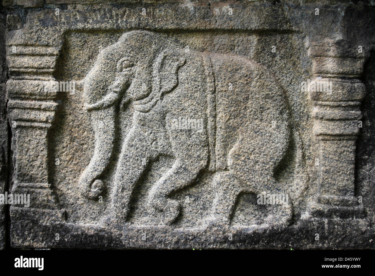 Elefant-Fries an König Parakramabahu Audienzsaal In der Royal Palace Group, Polonnaruwa, Sri Lanka Stockfoto