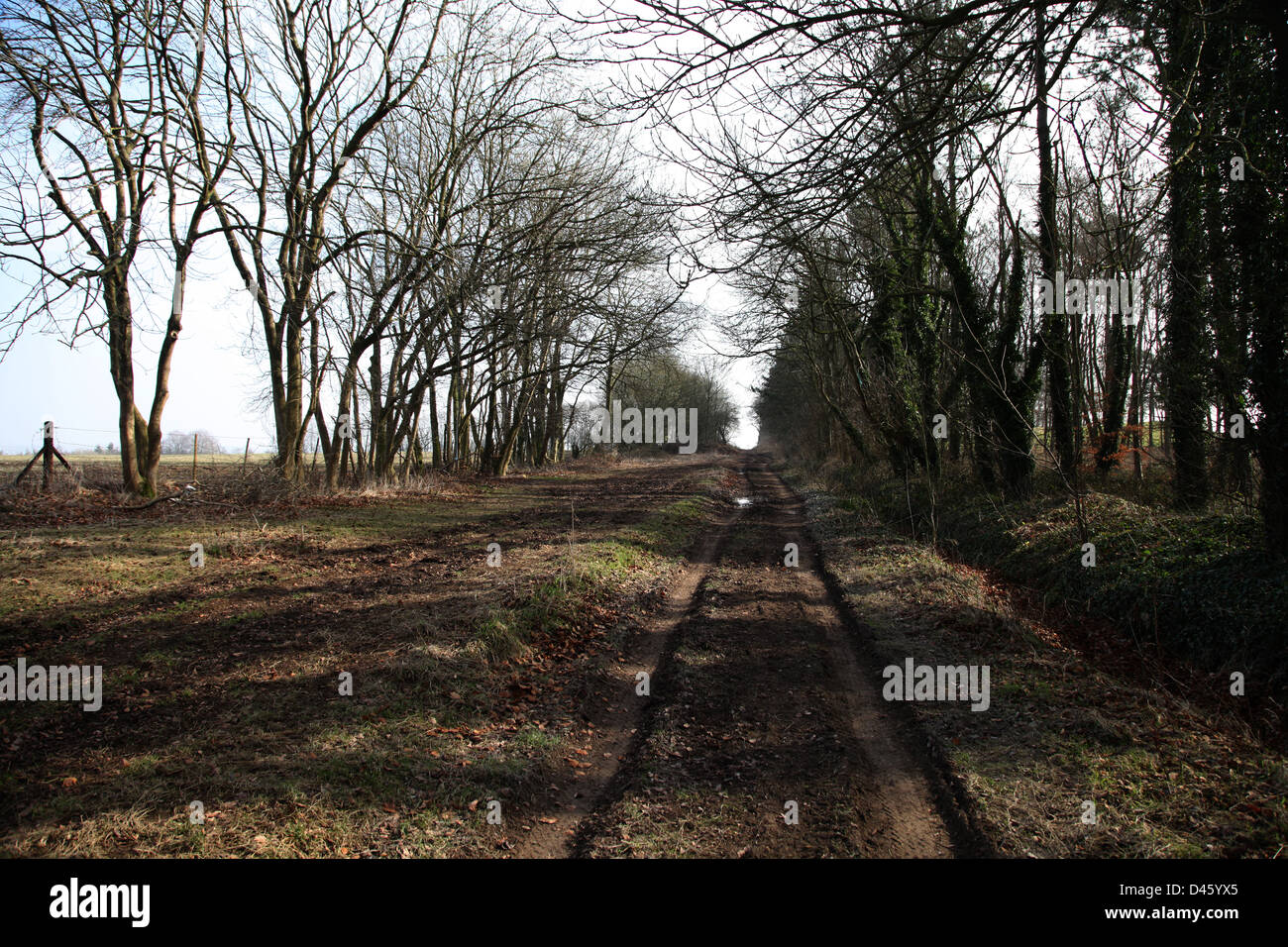 Der Höhenweg Stockfoto