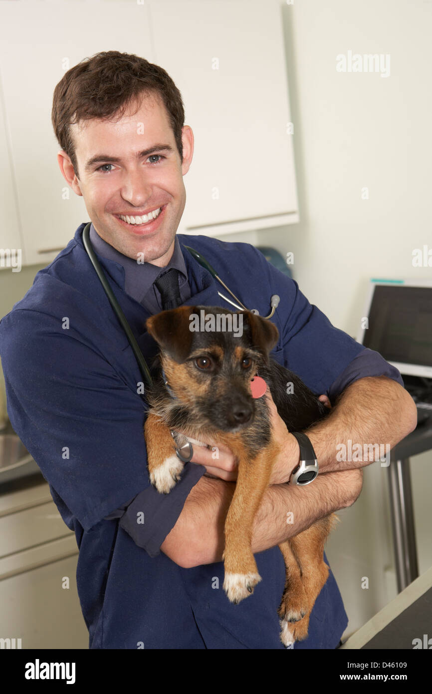 Männliche Tierarzt Holding Dog In der Chirurgie Stockfoto