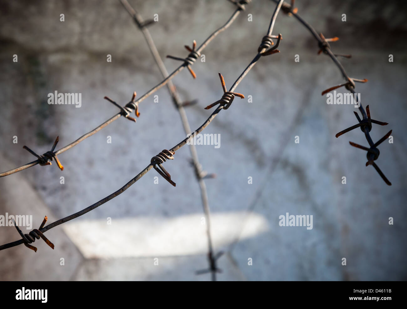 Stacheldraht-Fragment über dunkle Betonwand Stockfoto