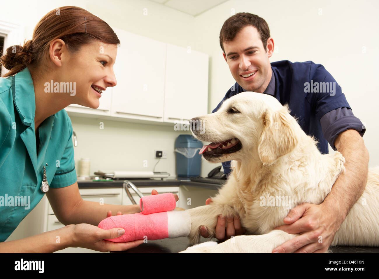 Männliche Tierarzt Behandlung von Hund In der Chirurgie Stockfoto