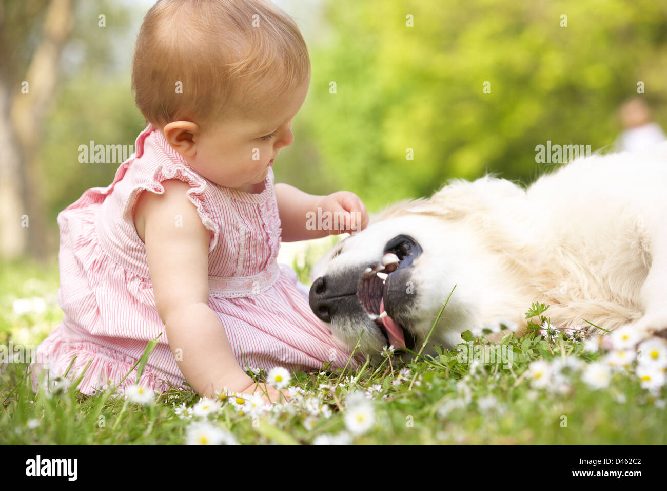 Babymädchen im Sommerkleid sitzen im Bereich Petting Familienhund Stockfoto