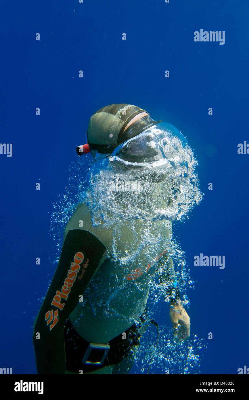 De ja blau Freediving Wettbewerb, Grand Cayman Inseln Stockfoto