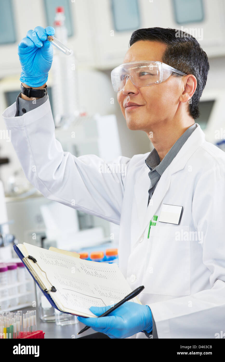 Männliche Wissenschaftler arbeiten im Labor Stockfoto