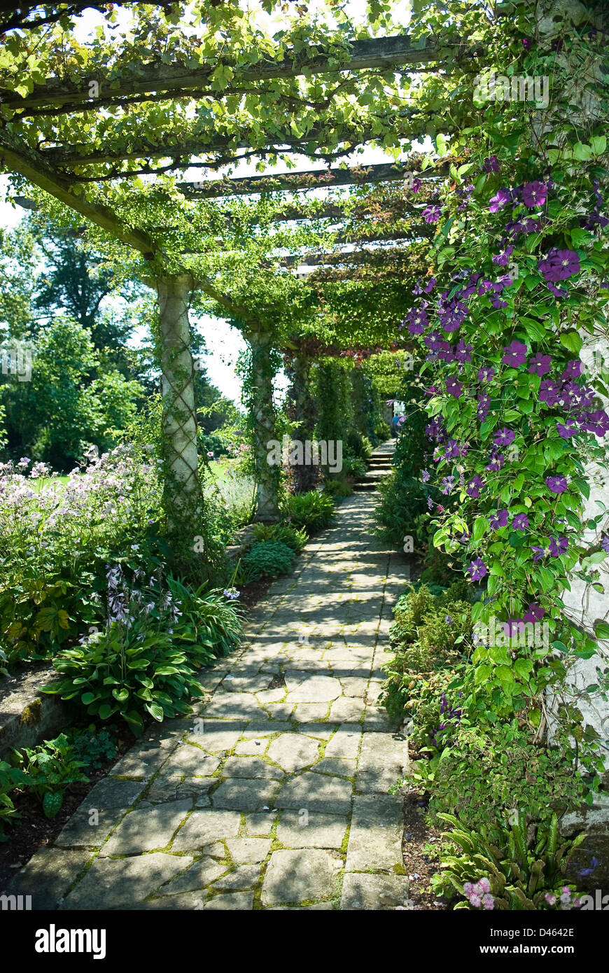Die Pergola bedeckt mit Sommerblumen in West Dean Gardens in der Nähe von Chichester, West Sussex, UK Stockfoto