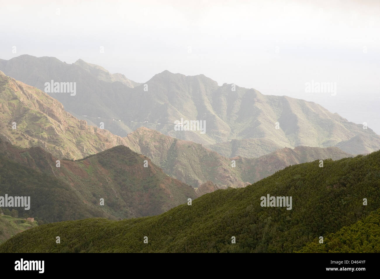 nebligen Hügeln schroffen Felsen Landschaft Landschaften Fotografie Foto Teneriffa Nord Ost Ost-Ansicht Blick auf atemberaubende Stockfoto