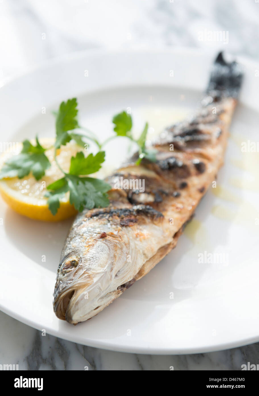 Ganzen Wolfsbarsch Fisch auf einem Teller Stockfoto