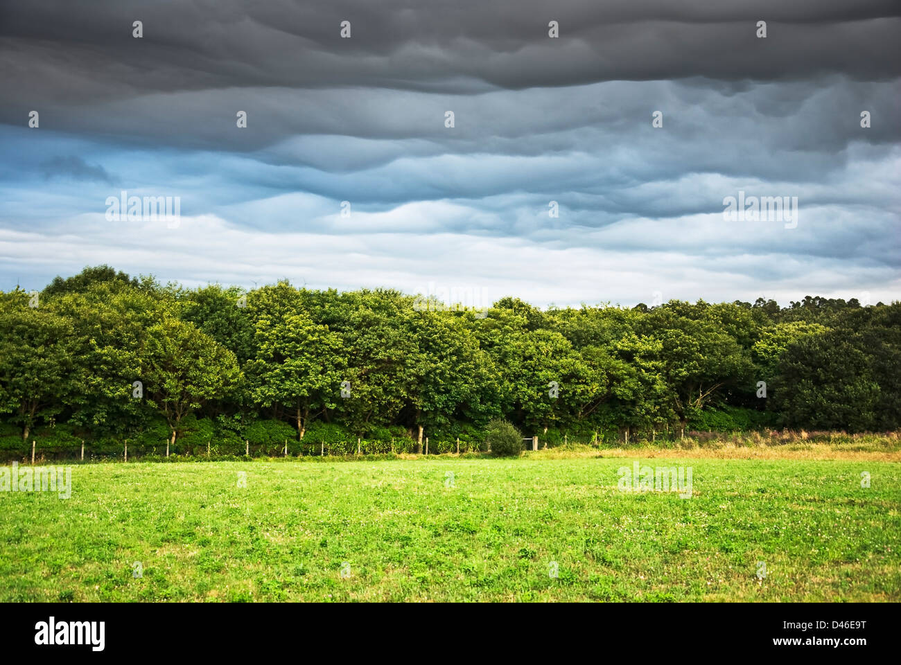 Landschaft mit Wiese, Bäumen und bewölktem Himmel in Nordspanien Stockfoto