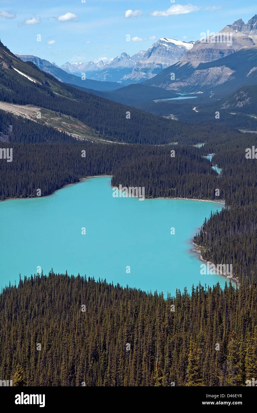 Peyto Lake, einem Gletscher gespeisten See in den kanadischen Rockies Stockfoto