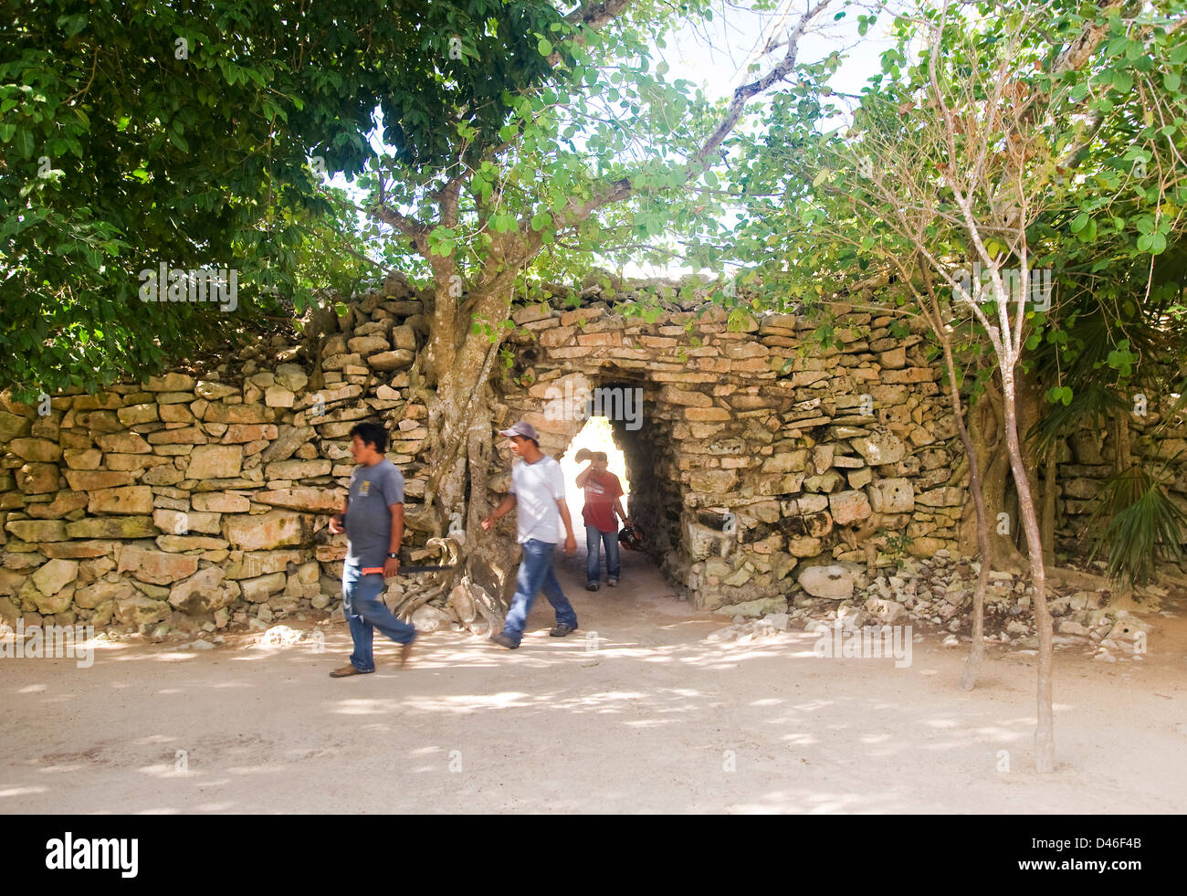 Maya-Ruinen von Tulum Stockfoto