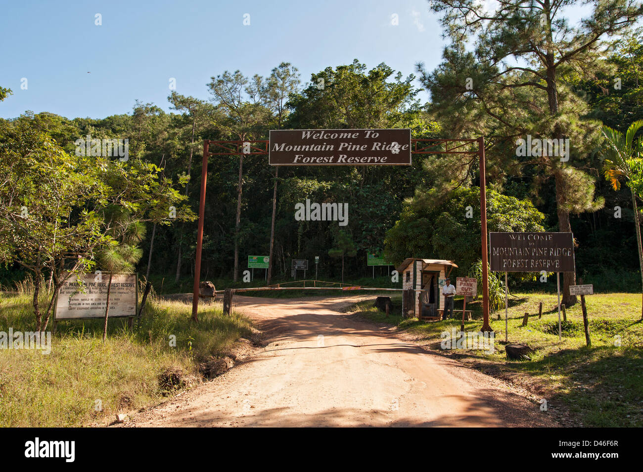 Straße in der Mountain Pine Ridge, Belize Stockfoto