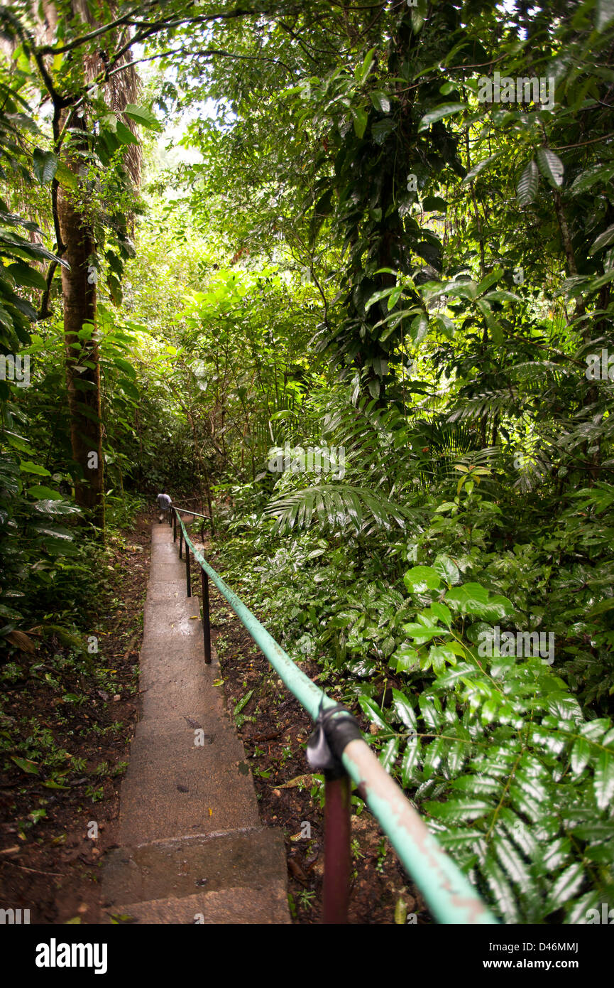 Blue Hole National Park auf dem Festland von Belize Stockfoto