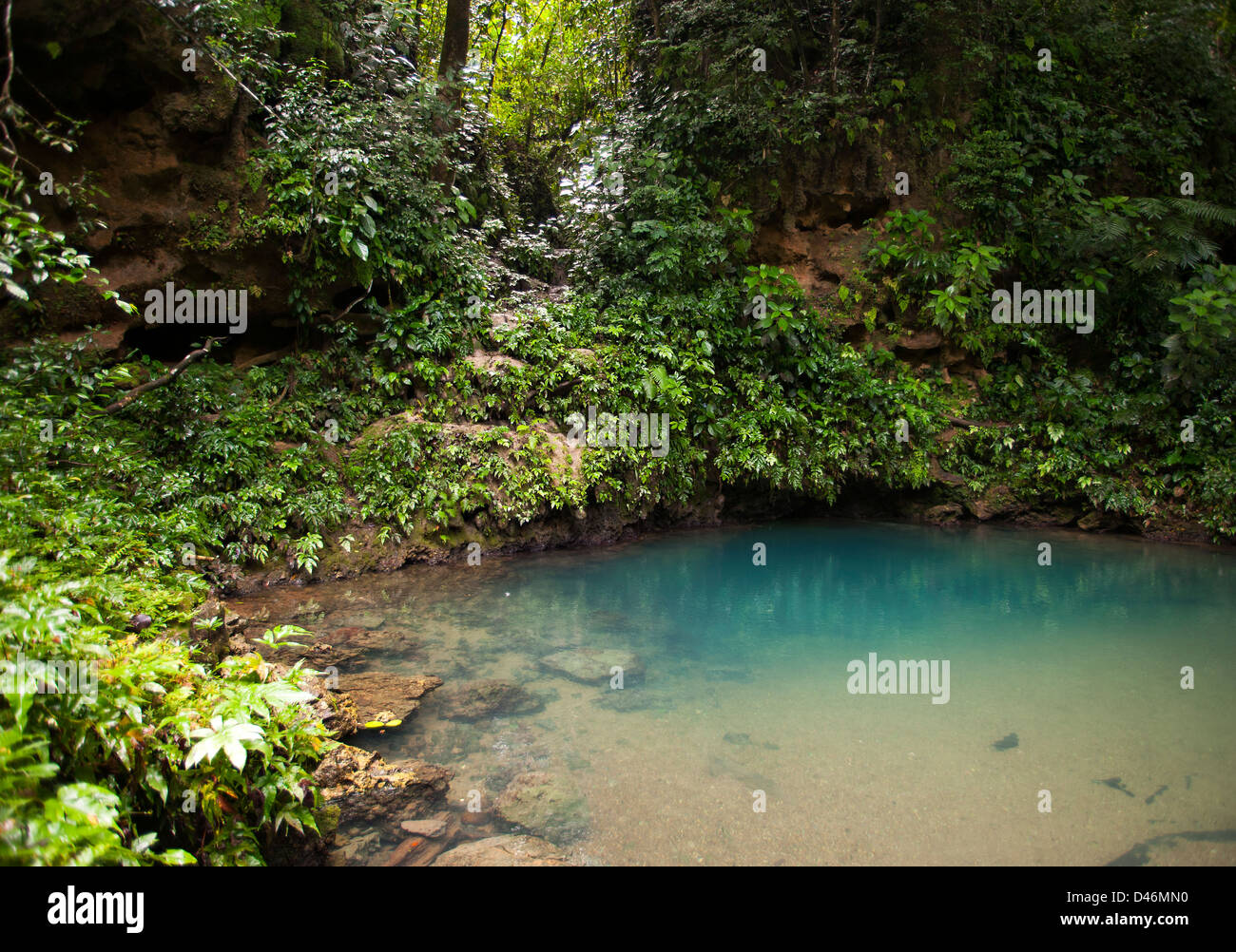 Blue Hole National Park auf dem Festland von Belize Stockfoto