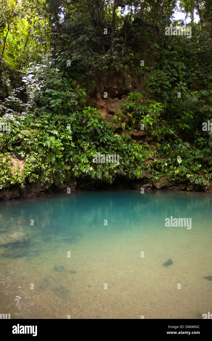 Blue Hole National Park auf dem Festland von Belize Stockfoto