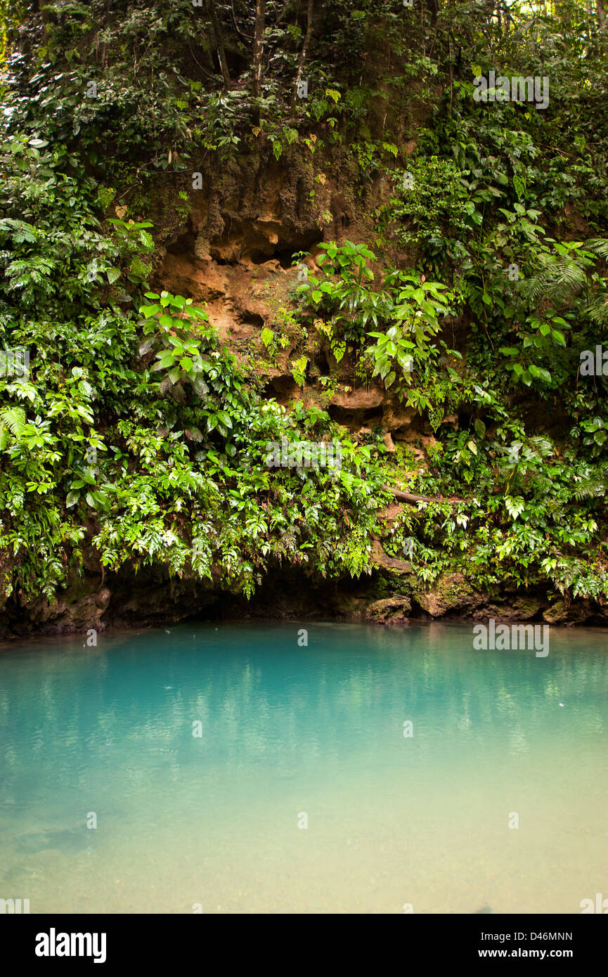 Blue Hole National Park auf dem Festland von Belize Stockfoto