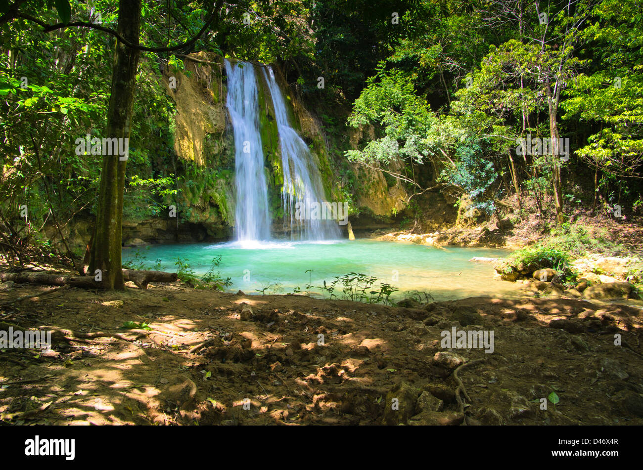 Wasserfall im tiefgrünen Wald Stockfoto