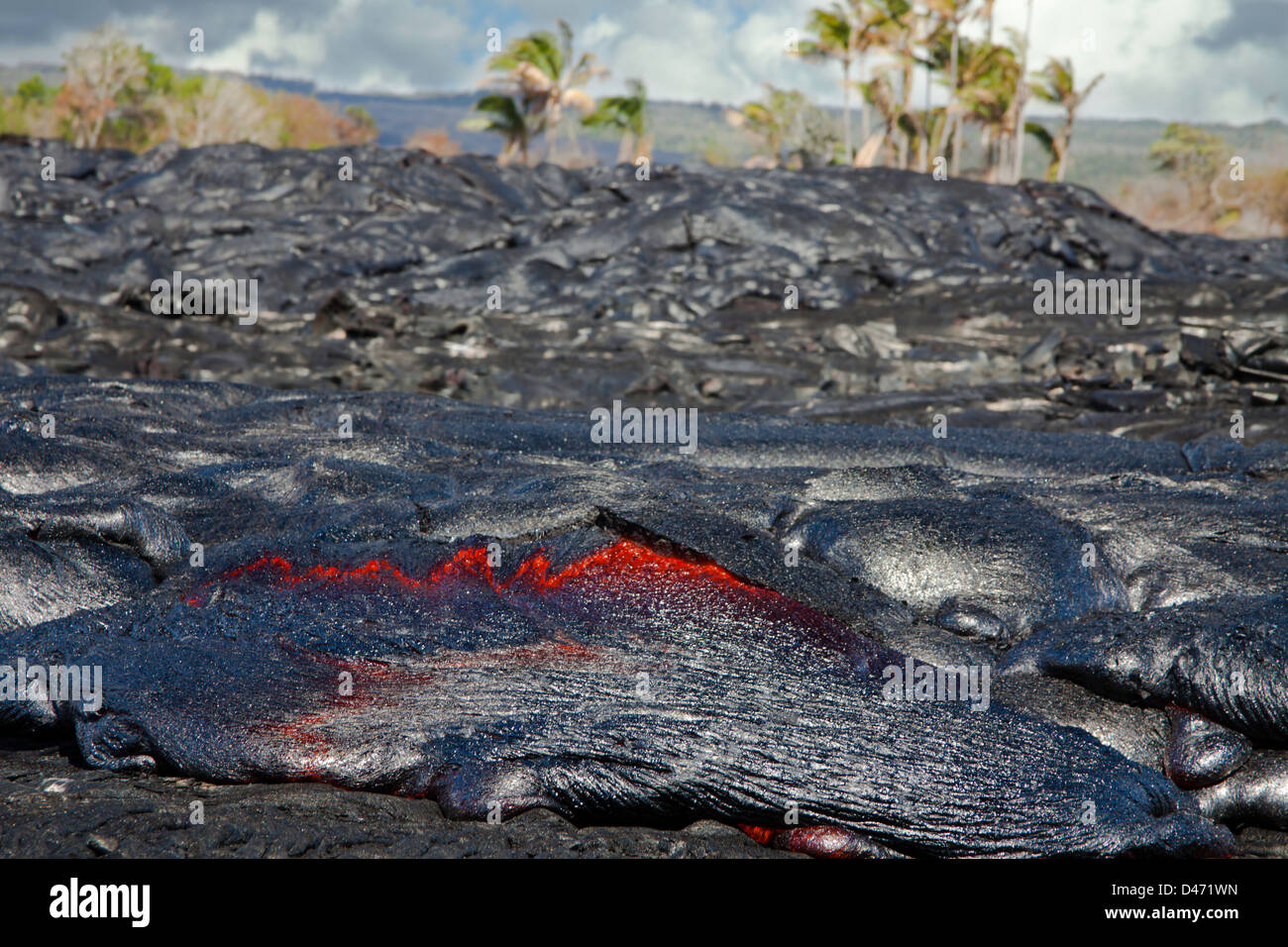 Diese neue Pahoehoe-Lava fließt von Kilauea deckt einen älteren Pahoehoe-Fluss in der Nähe von Kalapana, Big Island, Hawaii. Stockfoto