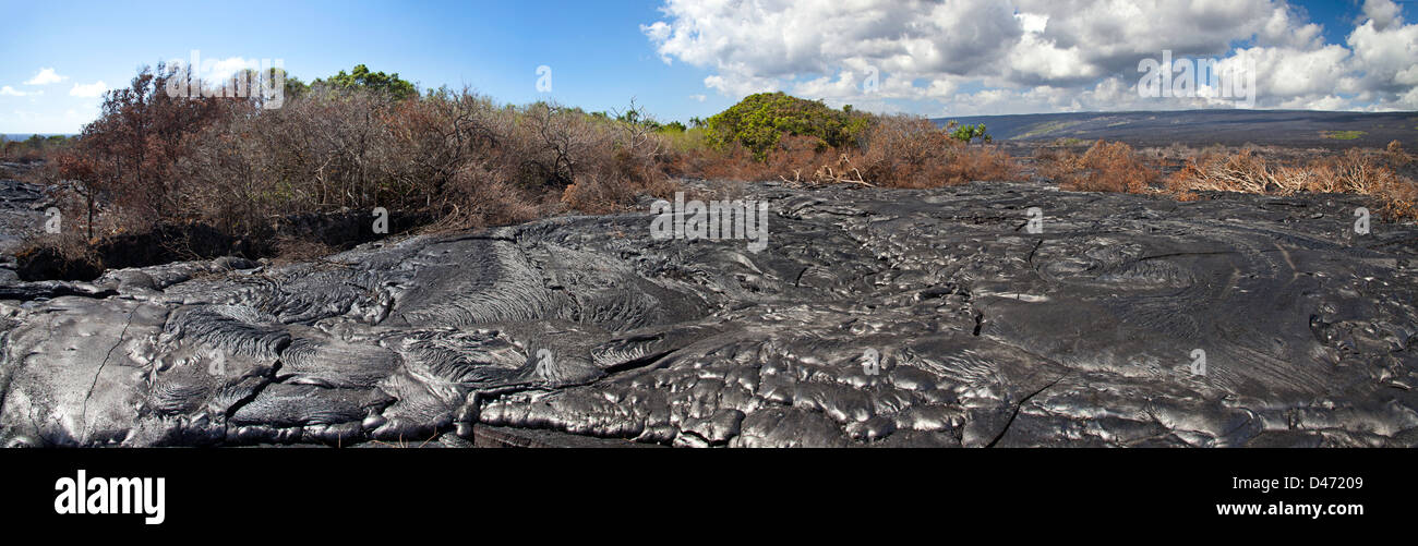 Ein neuer Pahoehoe-Lavastrom von Kilauea brennt einen Wald durch einen älteren Pahoehoe-Fluss, Big Island, Hawaii bereits isoliert. Stockfoto