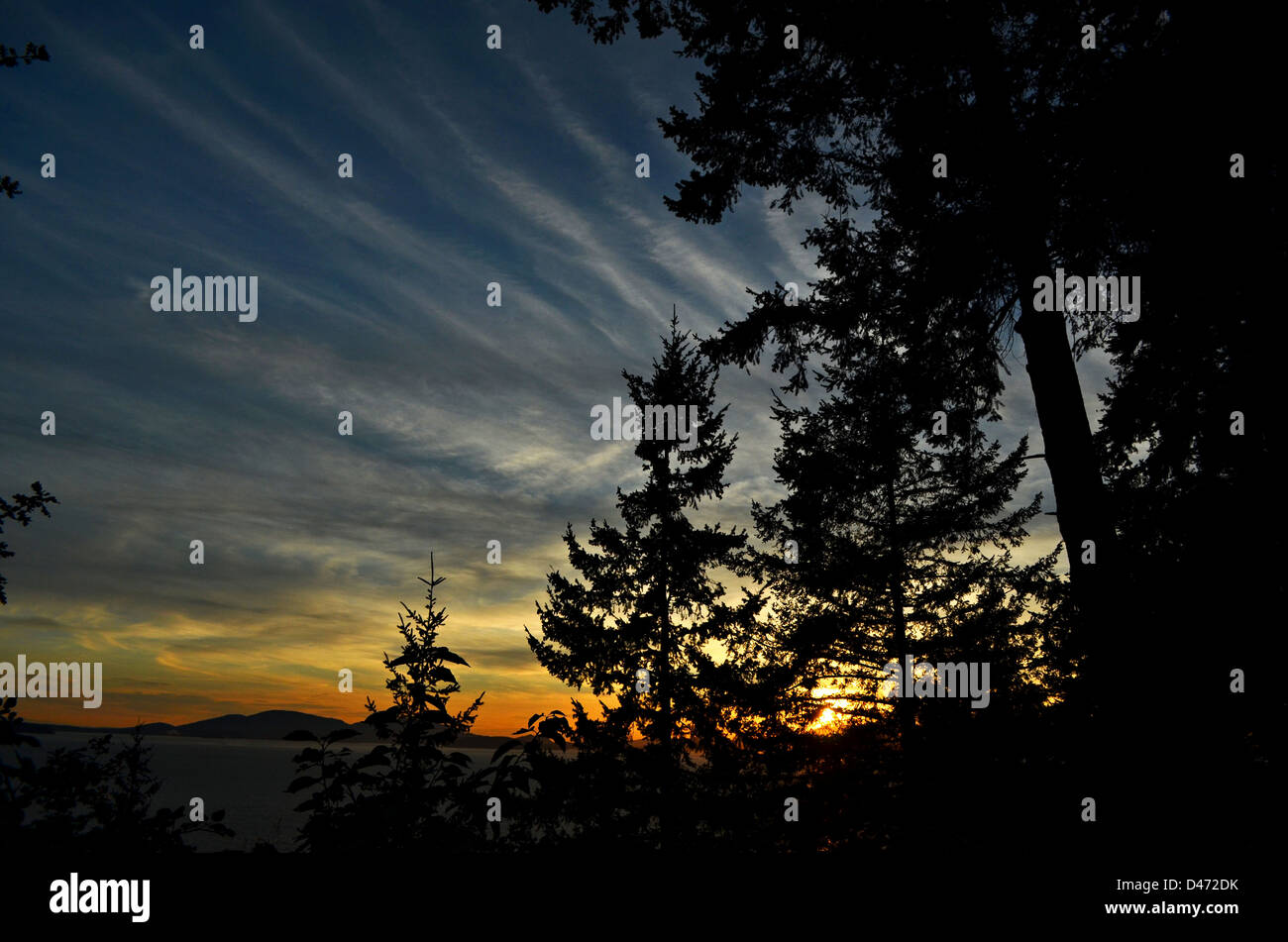 In der Abenddämmerung Stockfoto