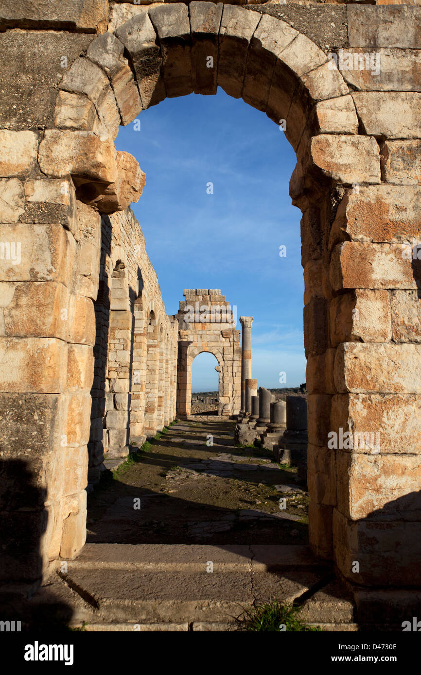 Marokko, Volubilis, römische Ruinen. Stockfoto