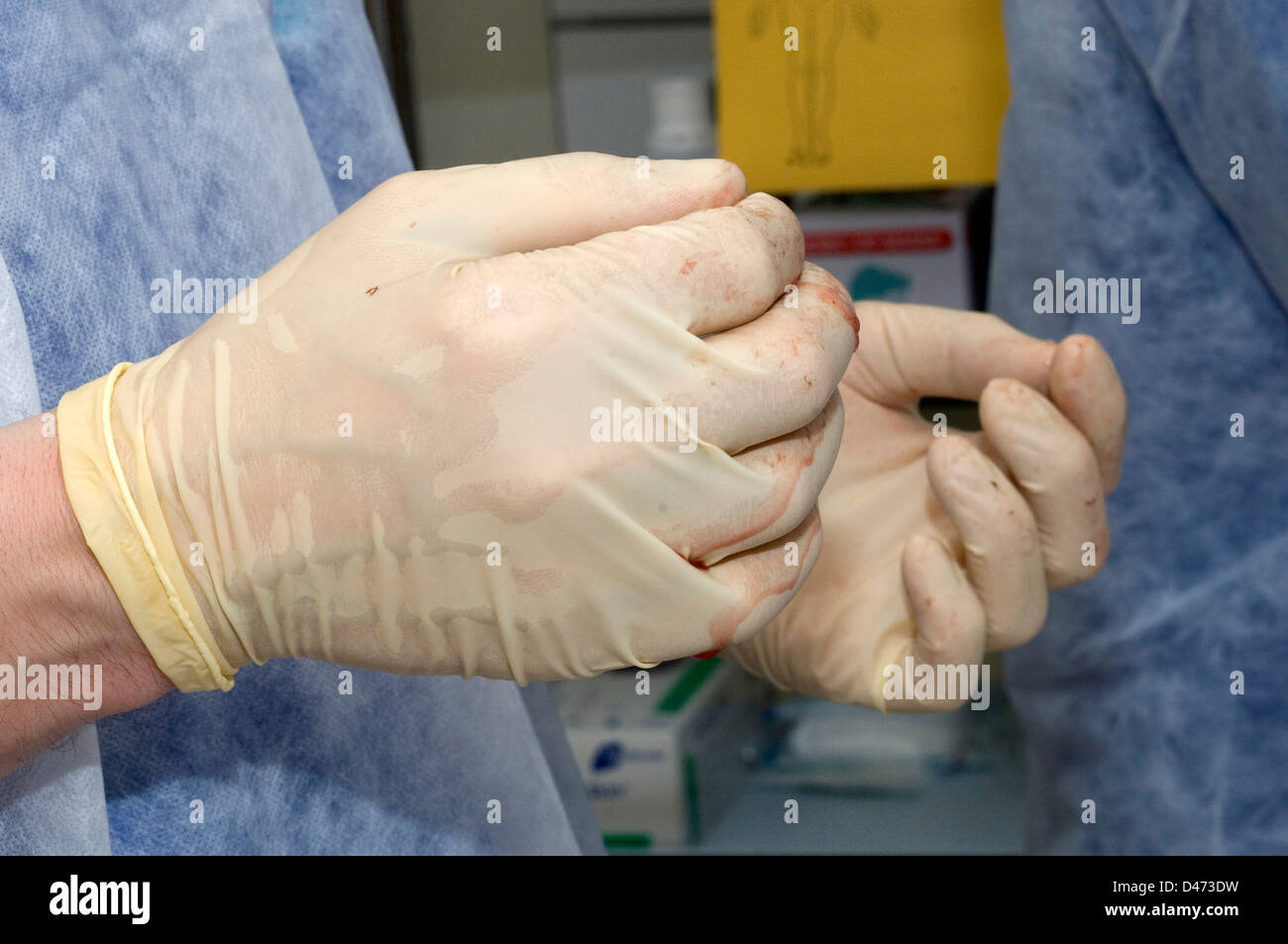 Die Chirurgen behandschuhten Händen. Stockfoto