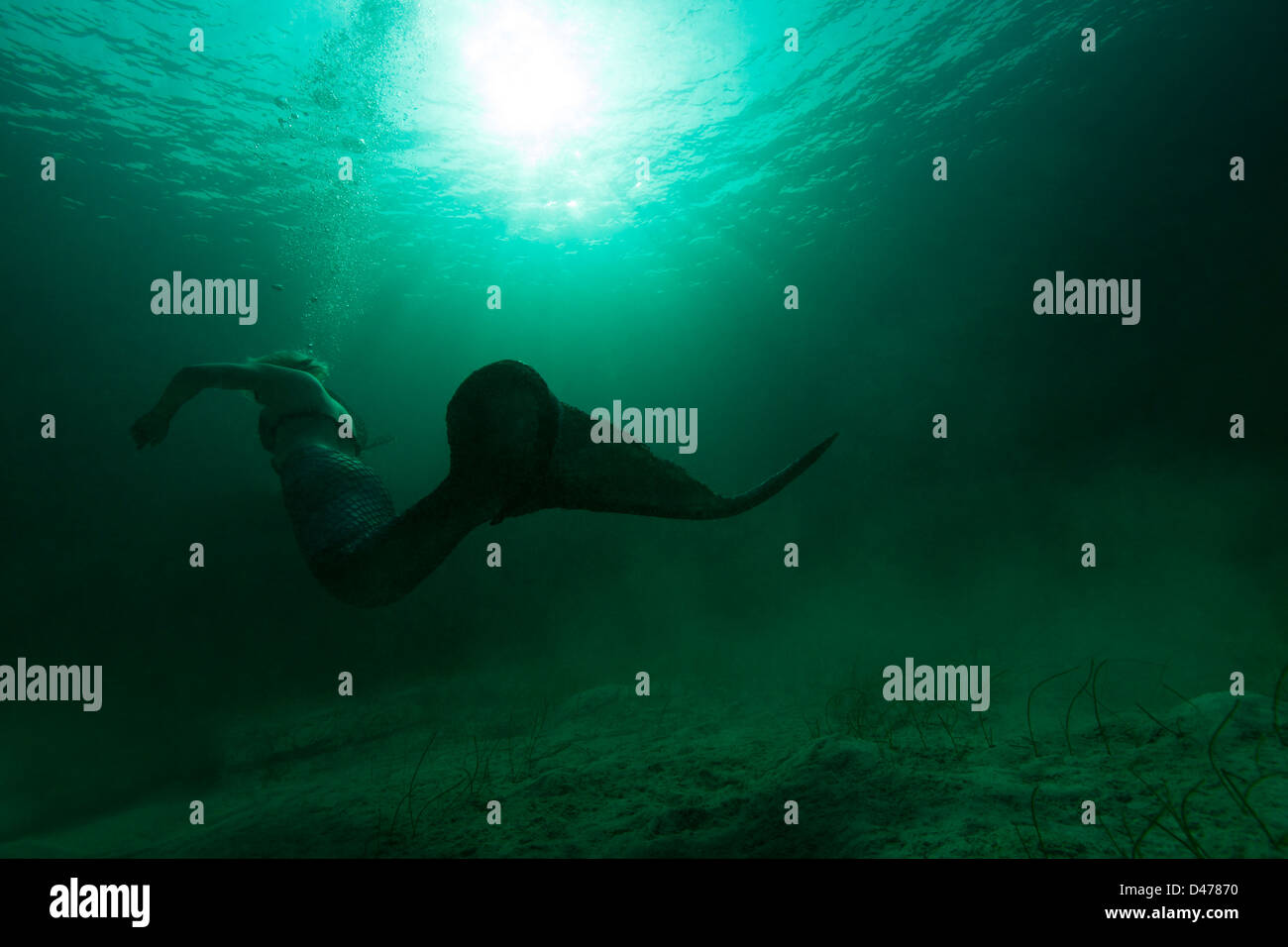 Silhouette Meerjungfrau Schwimmen durch trübe Wasser, auf den Bahamas. Stockfoto