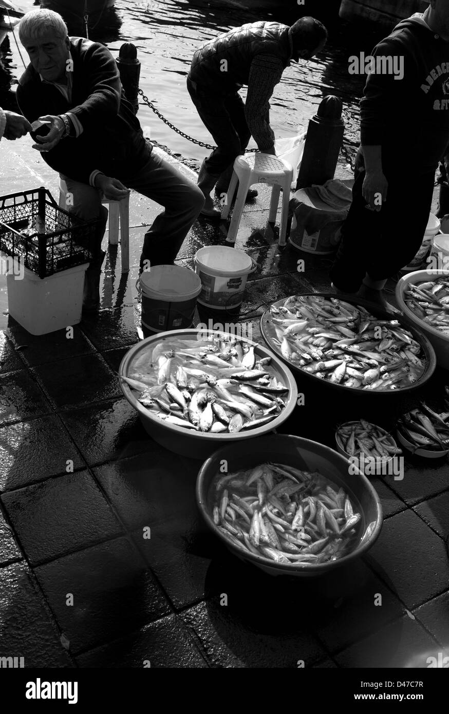 Sardinen für Verkauf durch Bopsphorus, Besiktas, Istanbul, Türkei Stockfoto