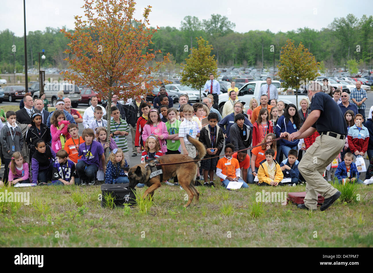 Mitarbeiter des Marine Criminal Investigative Service und ihre Kinder sehen während des Take Your Daughters and Sons to Work Day eine Marine Corps Working Dog Demonstration. Stockfoto