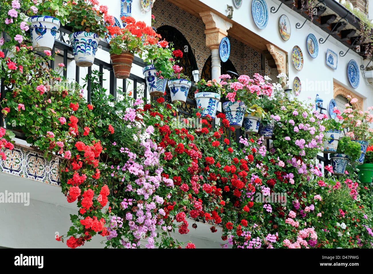 Blumen auf Balkon, Albaicin (alte arabische Viertel), Granada, Spanien Stockfoto