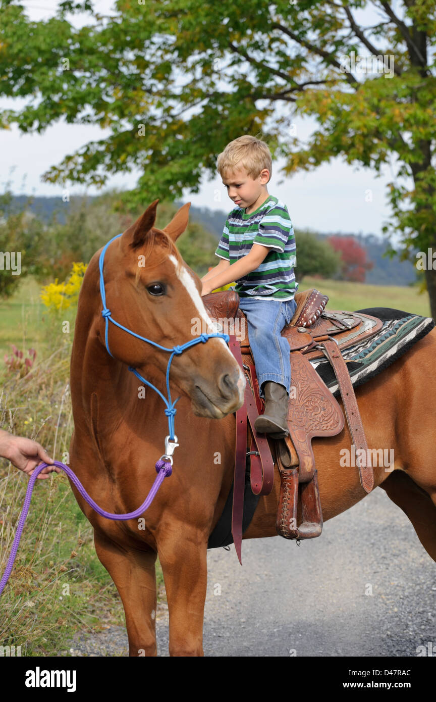 Kleiner Junge Reiten auf einem Erwachsenen Sattel, ein Bauernhof Kind sechs Jahre alt amüsiert sich lächelnd und glücklich an Bord ein großes Pferd Stockfoto