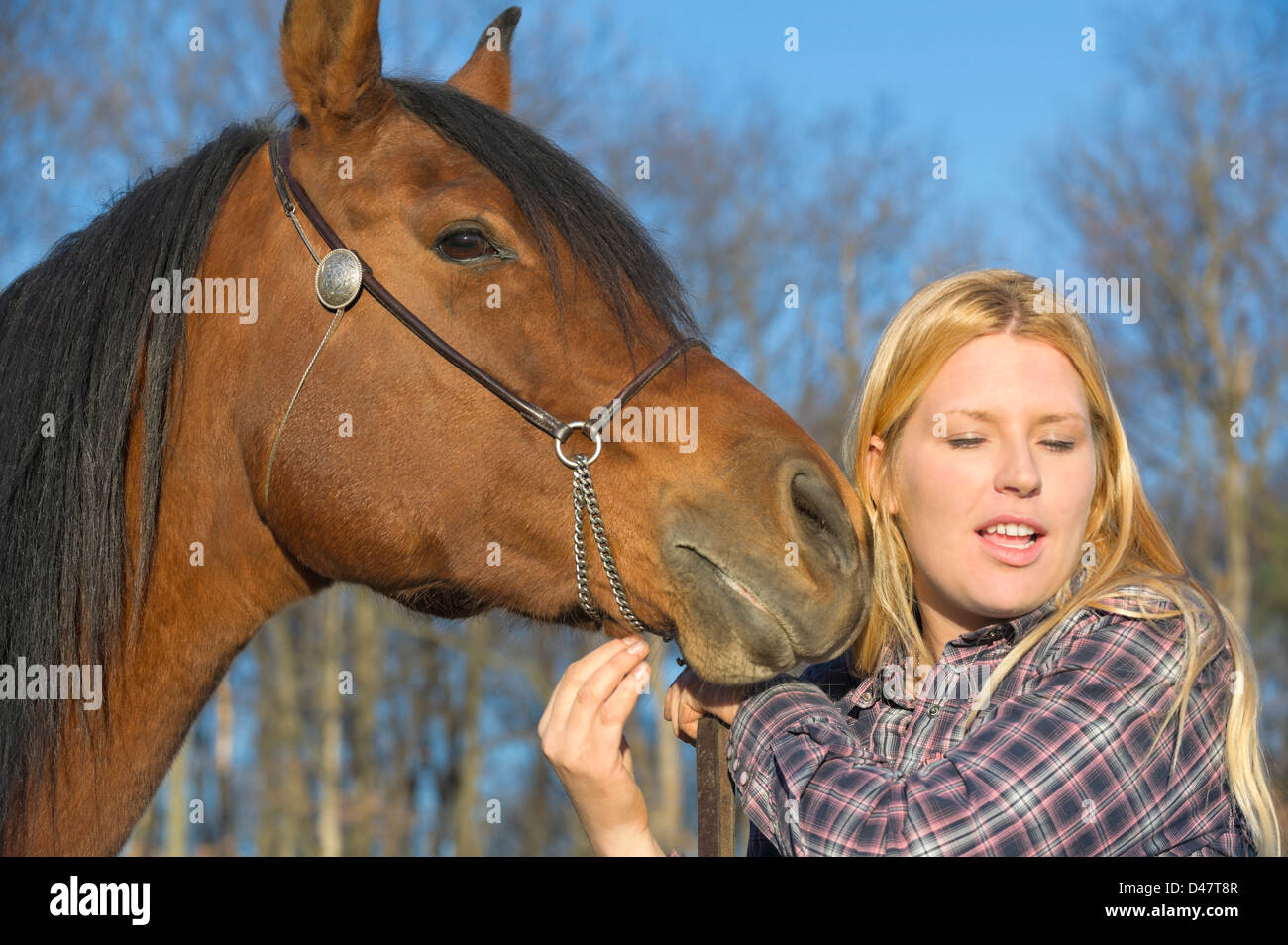 Pferd kommt in frau