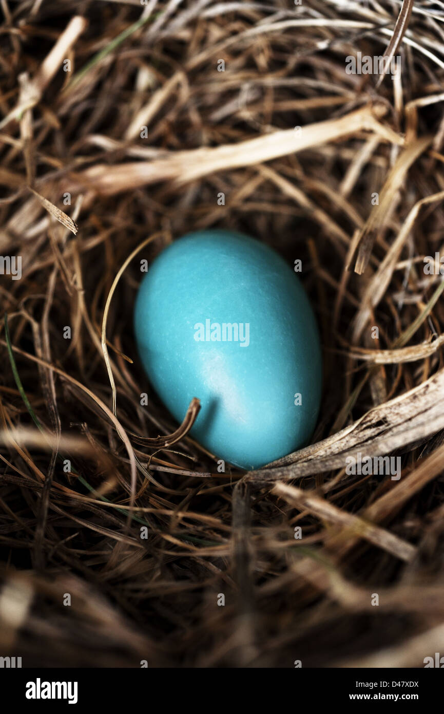 Blau für Robin, blau für Tiffany. Stockfoto